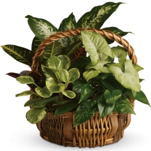 Emerald Garden Basket